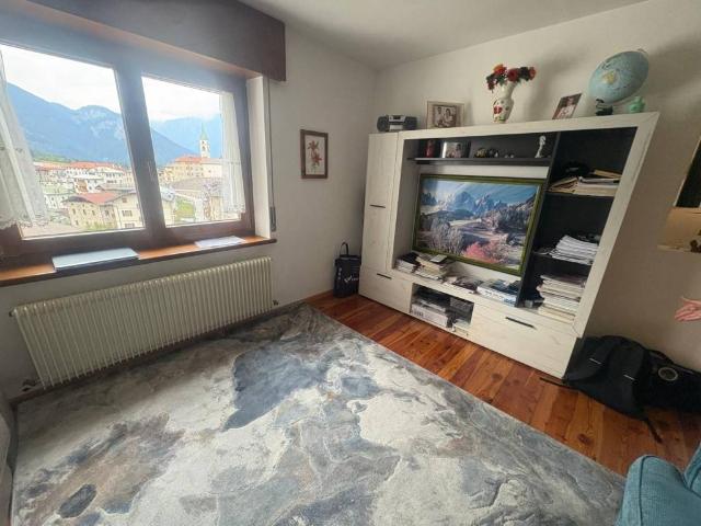 Appartamento in vendita a Vigo di Cadore, Belluno
