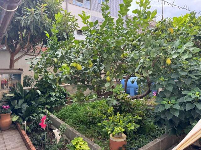 Appartamento in vendita a Villafranca Tirrena, Sicilia