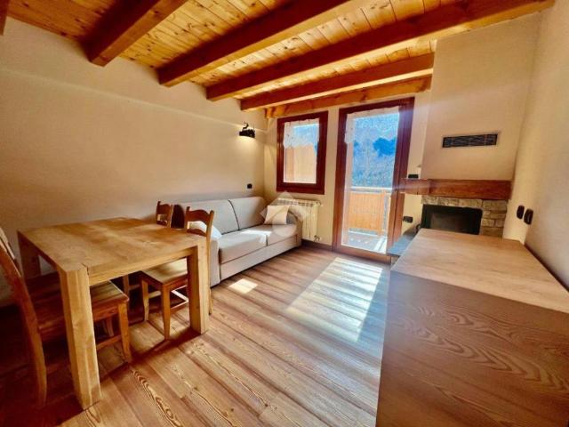 Appartamento in vendita a Comunità montana della valle Camonica, Vione