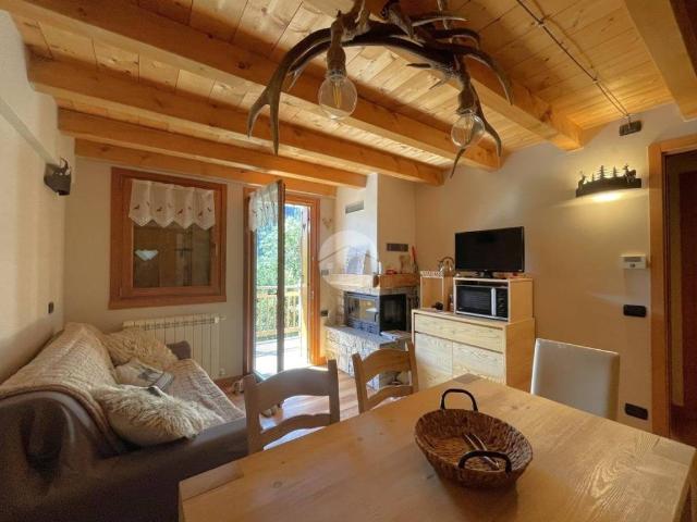 Appartamento in vendita a Comunità montana della valle Camonica, Vione