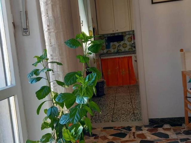 Appartamento in vendita a Volterra, Toscana