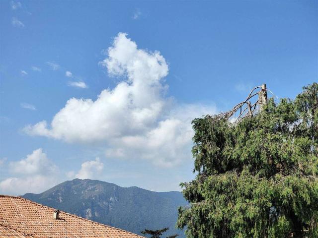 Appartamento in vendita a Zelbio, Lombardia