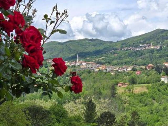 Appartamento in vendita a Carro, Liguria