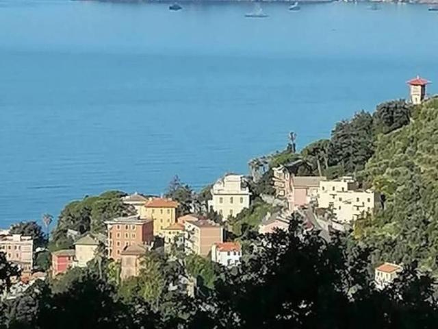 Appartamento in vendita a Zoagli, Liguria