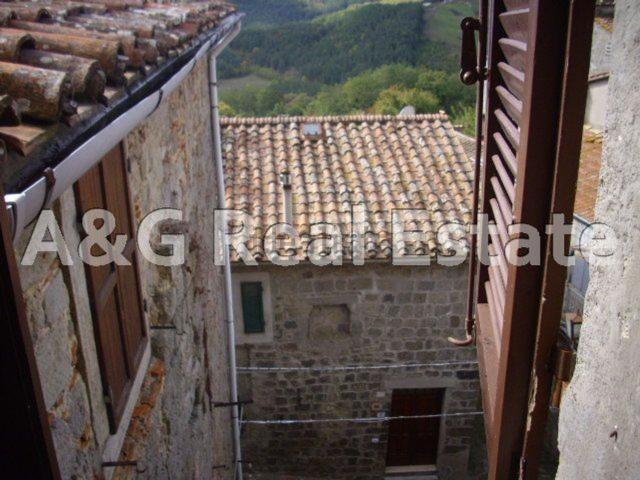 Appartamento in vendita a Unione dei Comuni Montani Amiata Grossetana, Santa Fiora