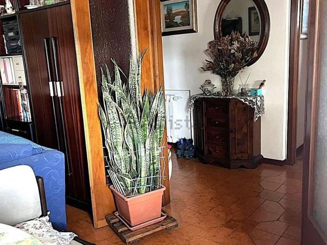 Appartamento in vendita a Santa Margherita, Capannori