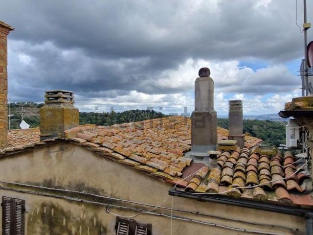 Appartamento in vendita a Magliano In Toscana, Toscana