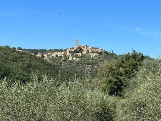 Appartamento in vendita a Magliano In Toscana, Toscana