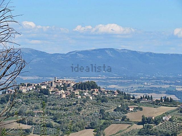 Appartamento in vendita a San Venanzo, Umbria