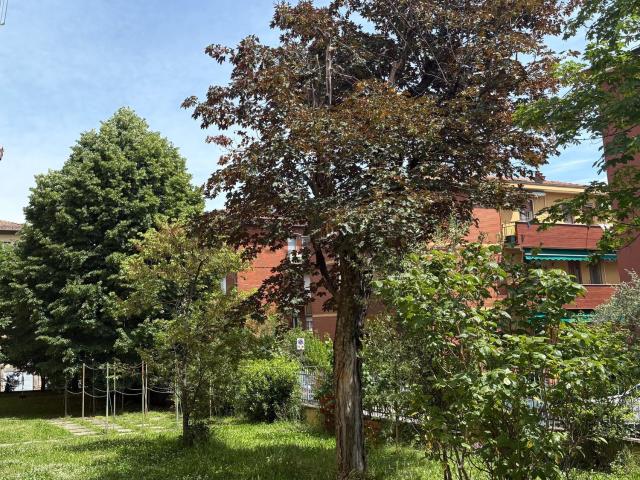 Appartamento in vendita a Cicogna, San Lazzaro