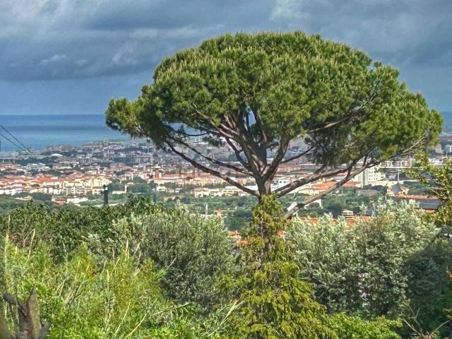 Appartamento in vendita a Savolano, Livorno