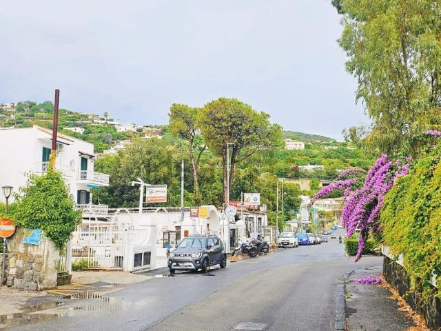 Appartamento in vendita a Piripissa, Ischia