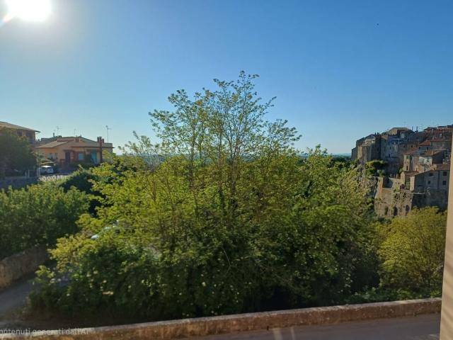 Appartamento in vendita a Farnese, Viterbo
