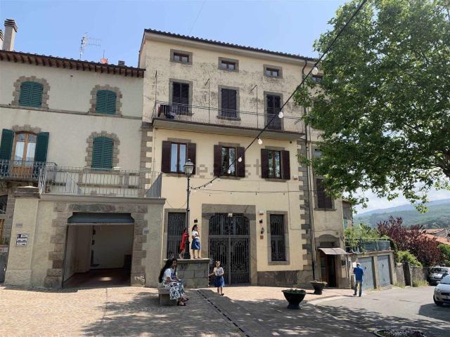 Appartamento in vendita a Unione dei Comuni Montani Amiata Grossetana, Castel Del Piano