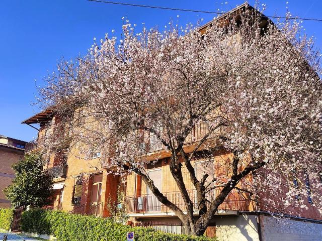 Appartamento in vendita a Piegaro, Umbria