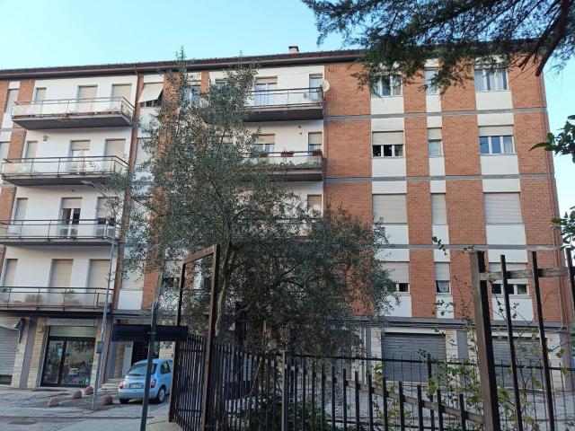 Appartamento in vendita a Spina, Marche