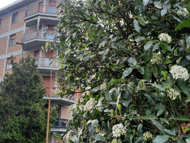 Appartamento in vendita a Bassa Reggiana, Re