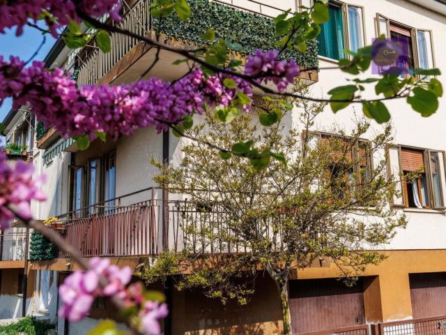 Appartamento in vendita a Battaglia Terme, Veneto