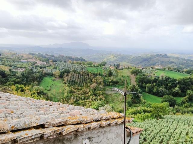 Appartamento in vendita a Calvi Dell'umbria, Umbria