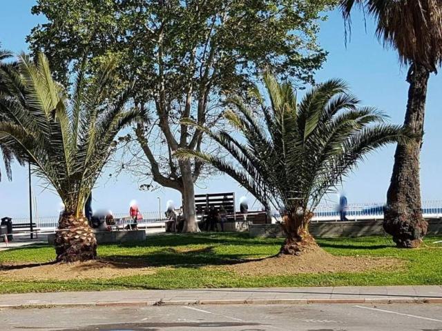 Appartamento in vendita a Oltreletimbro, Albisola Capo