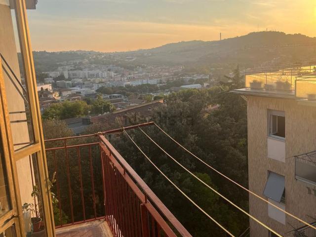 Appartamento in vendita a Marche, Ancona