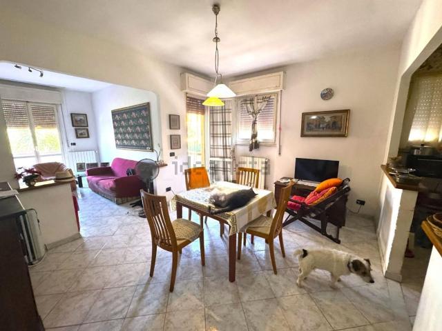 Appartamento in vendita a Collesalvetti, Toscana