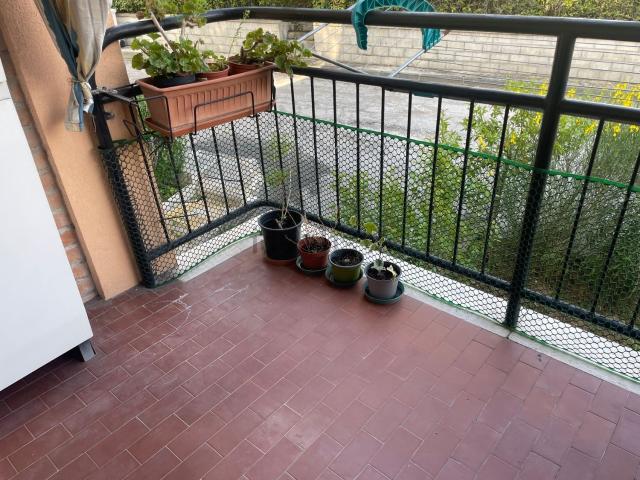Appartamento in vendita a Marche, Ancona