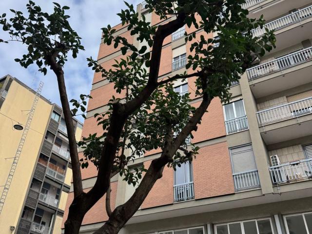 Appartamento in vendita a Municipio 1, Puglia