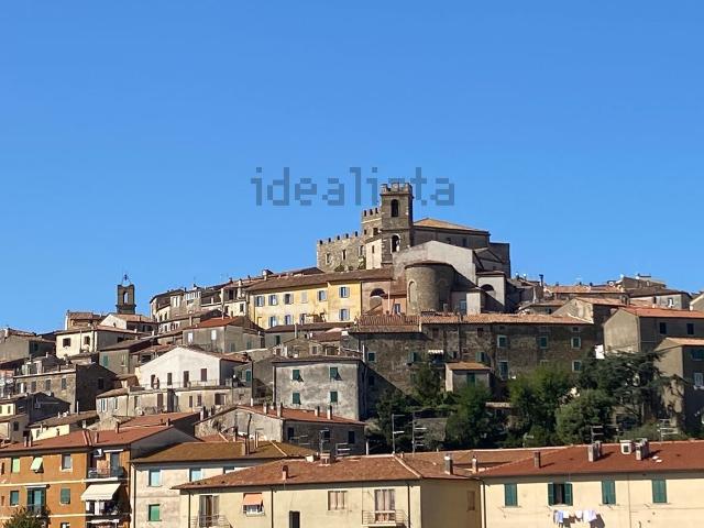 Appartamento in vendita a Unione di Comuni Montani Colline del Fiora, Manciano