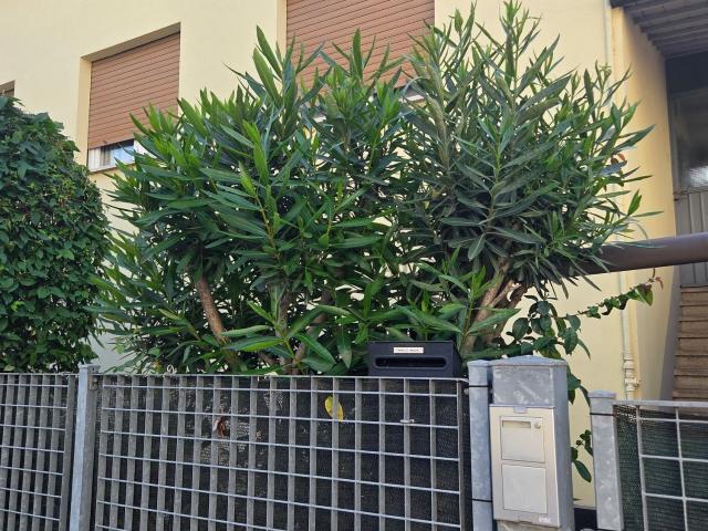 Appartamento in vendita a Fossetta, Sassuolo