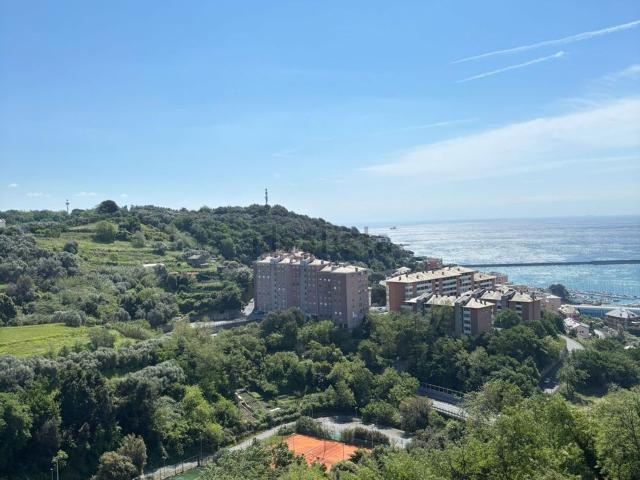 Appartamento in vendita a Ponente, Serra Riccò