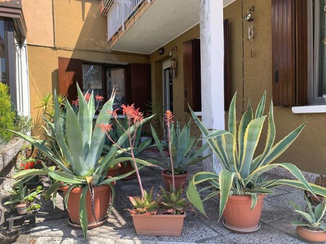 Appartamento in vendita a Cazzago, Pianiga