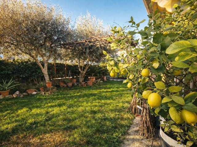 Appartamento in vendita a Unione di comuni Valmarecchia, Verucchio