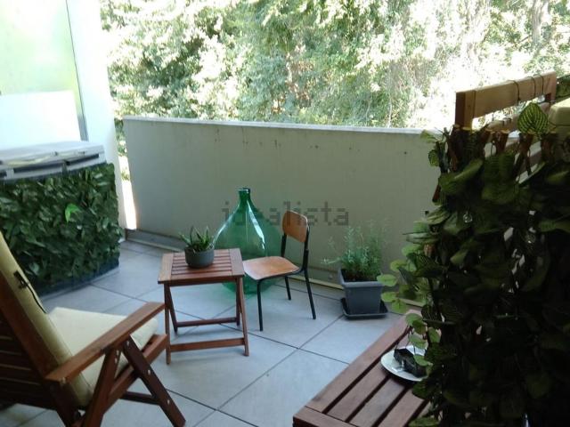 Appartamento in vendita a Trebaseleghe, Padova