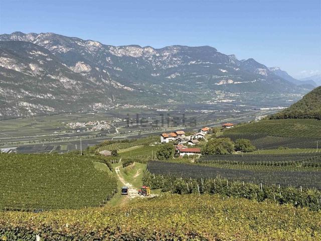 Appartamento in vendita a Überetsch-Unterland - Oltradige-Bassa Atesina, Pochi - Buchholz