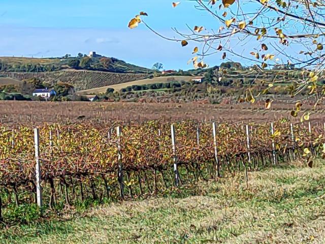 Appartamento in vendita a Unione di comuni Valmarecchia, Santarcangelo Di
