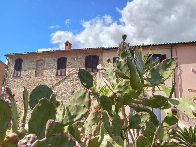 Appartamento in vendita a Campiglia Marittima, Toscana