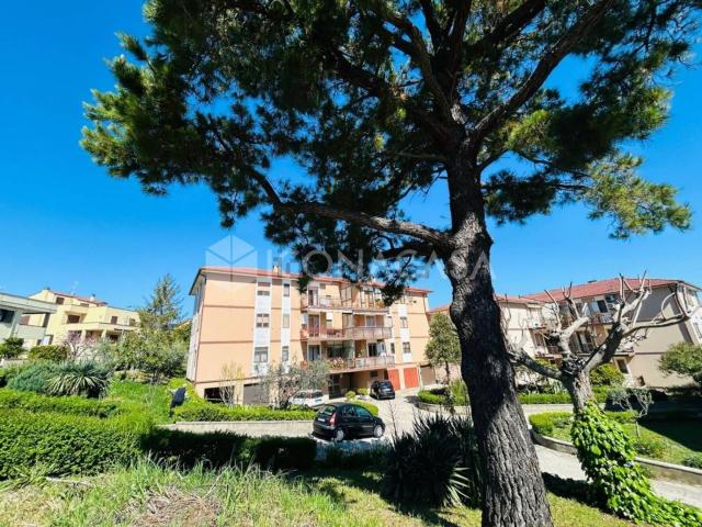 Appartamento in vendita a Termoli, Molise