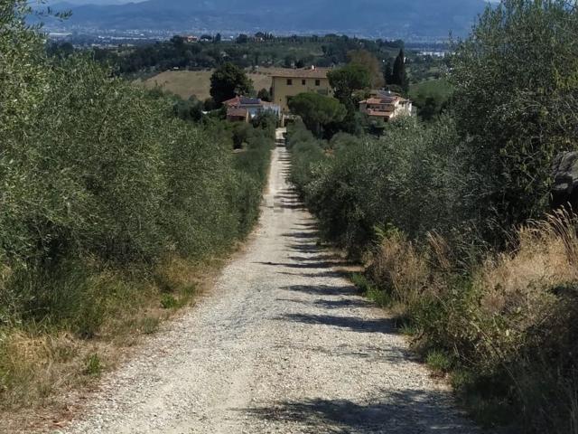 Appartamento in vendita a Vigliano, Scandicci