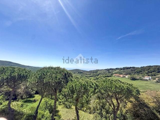 Appartamento in vendita a Rosignano Marittimo, Toscana