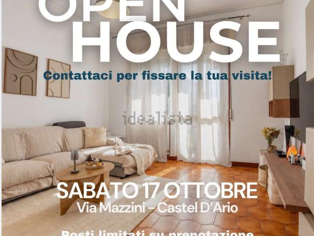 Appartamento in vendita a Castel d'Ario, Mantova