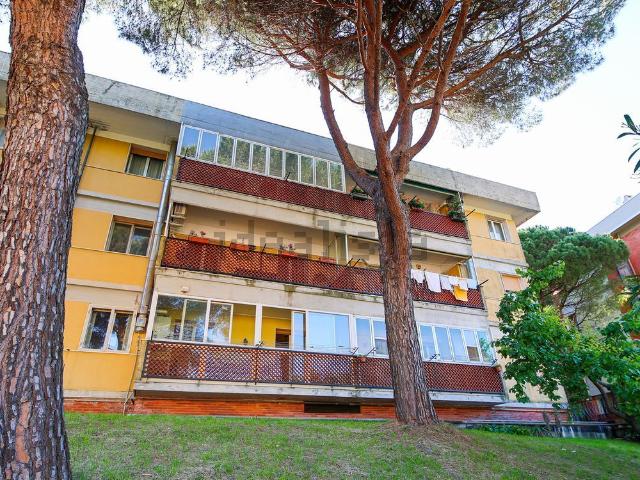 Appartamento in vendita a Centro Ovest, Serra Riccò