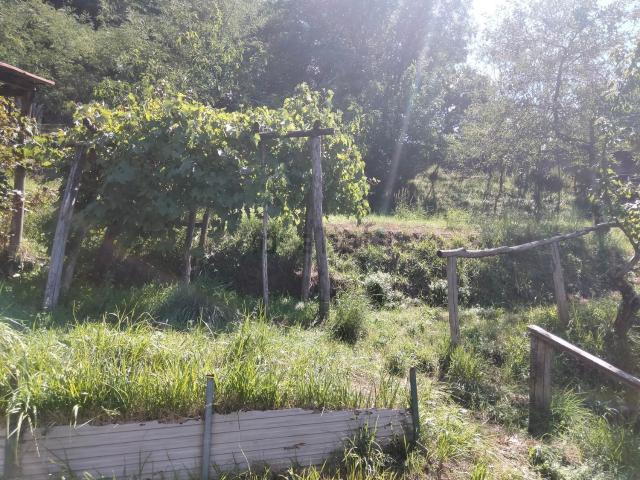 Appartamento in vendita a Piteglio, Toscana