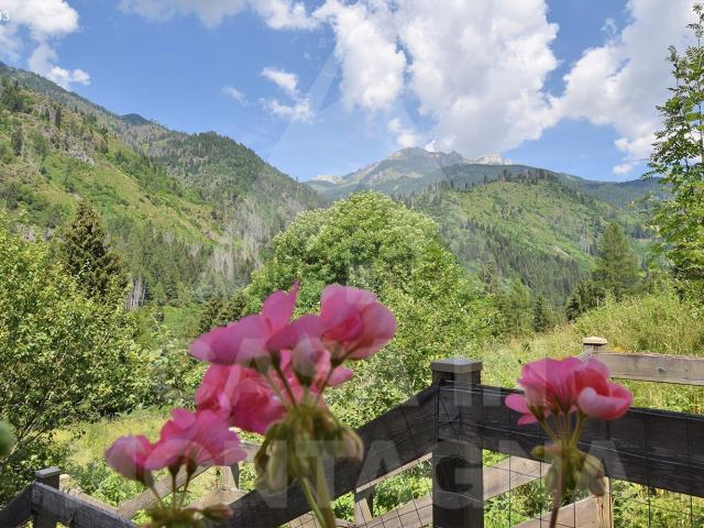 Appartamento in vendita a Comunità territoriale della Val di Fiemme, Predazzo