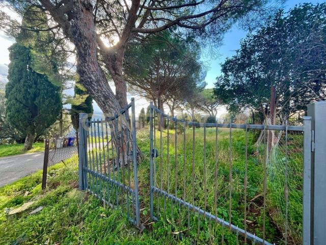 Appartamento in vendita a Scansano, Toscana