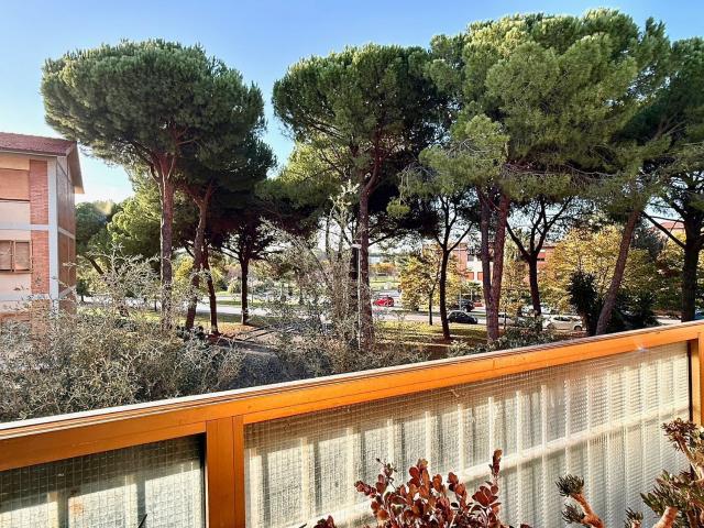 Appartamento in vendita a Gorarella, Monte Argentario