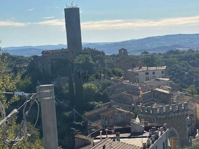 Appartamento in vendita a Magliano In Toscana, Toscana