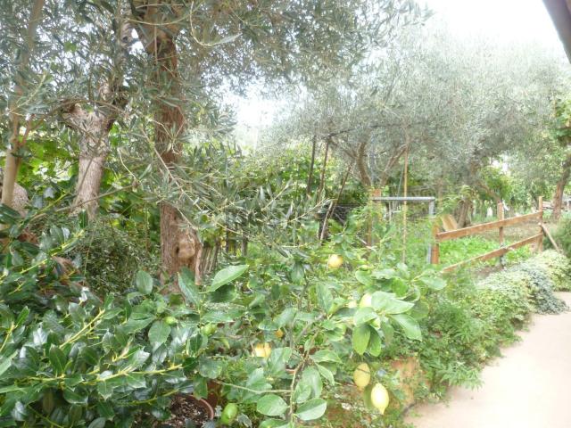 Appartamento in vendita a San Paolo, Marche