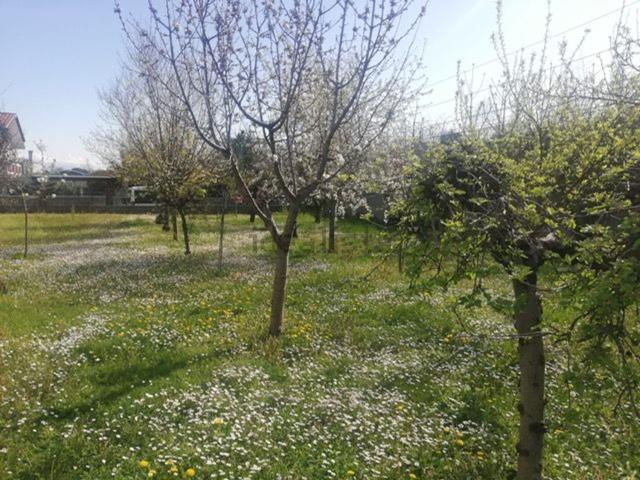 Appartamento in vendita a Campoformido, Friuli-Venezia Giulia