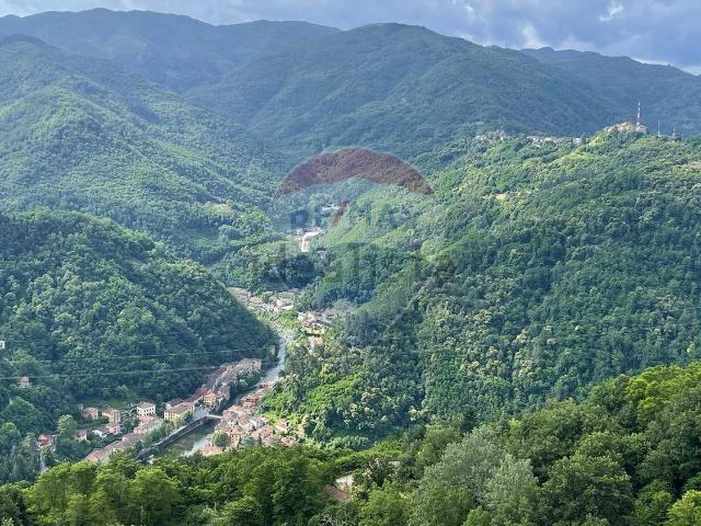 Appartamento in vendita a Unione dei comuni Media Valle del Serchio, Ponte A Serraglio
